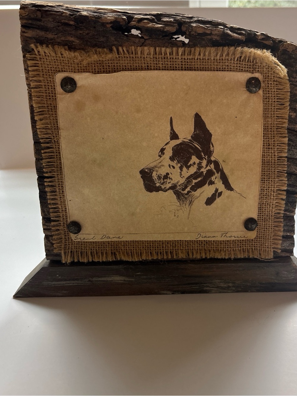Great Dane Print by Diane Thorne - Distressed, wooden stand art